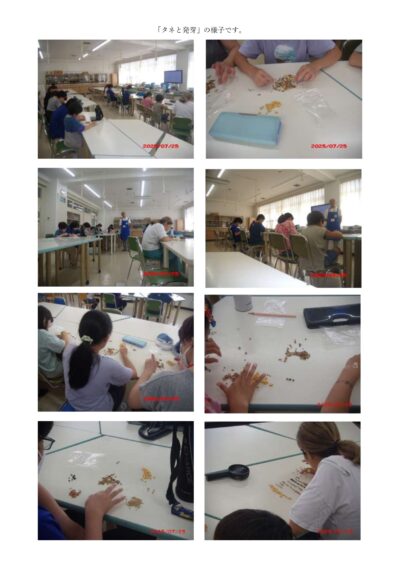 688c299dcb0df_page-0002