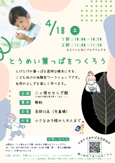 69bc60a2221fb_page-0001