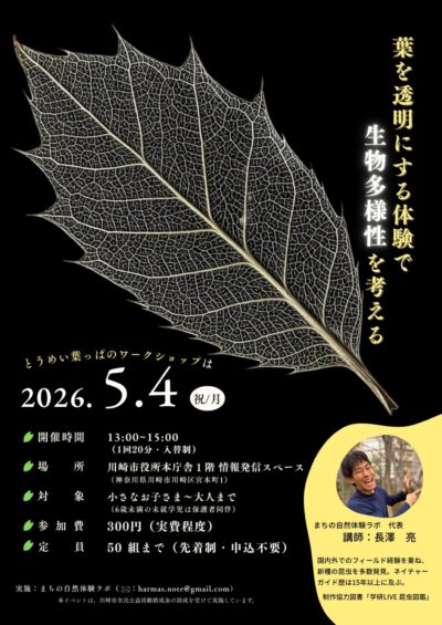 【イベント素材】チラシ素材 - 5