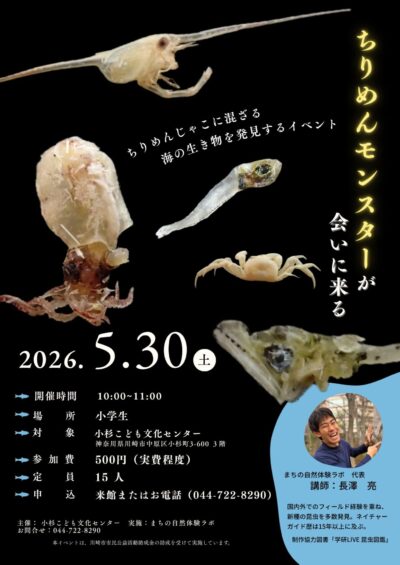 69f4101332bdc
