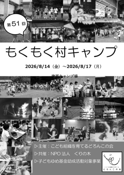 6a03405993b34_page-0001