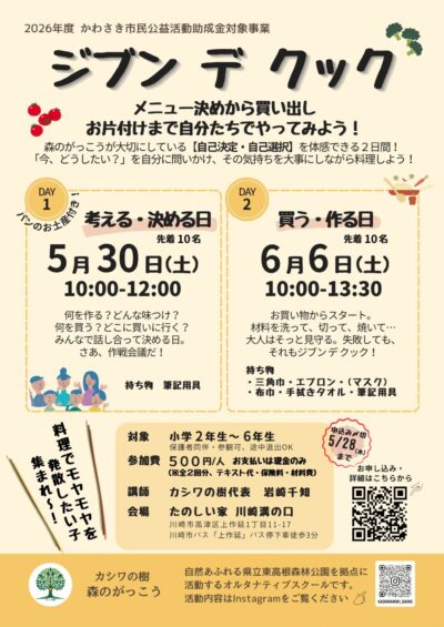 6a0689284264c